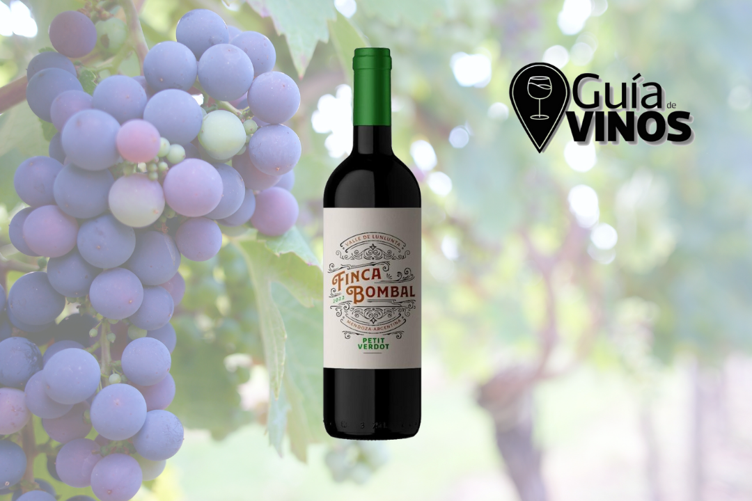Finca Bombal Petit verdot 2020