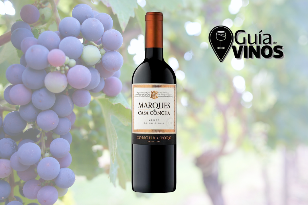 Marques de Casa Concha Merlot 2019