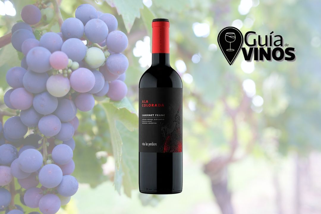 Ala Colorada Cabernet Franc 2019