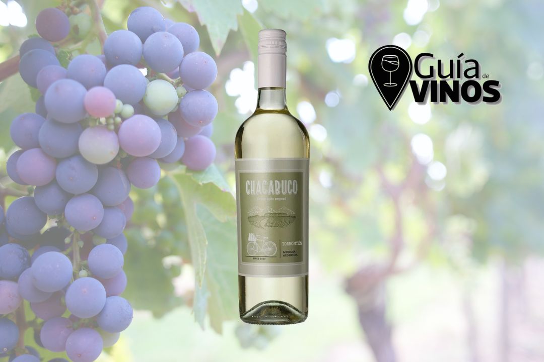 Chacabuco Torrontés 2022