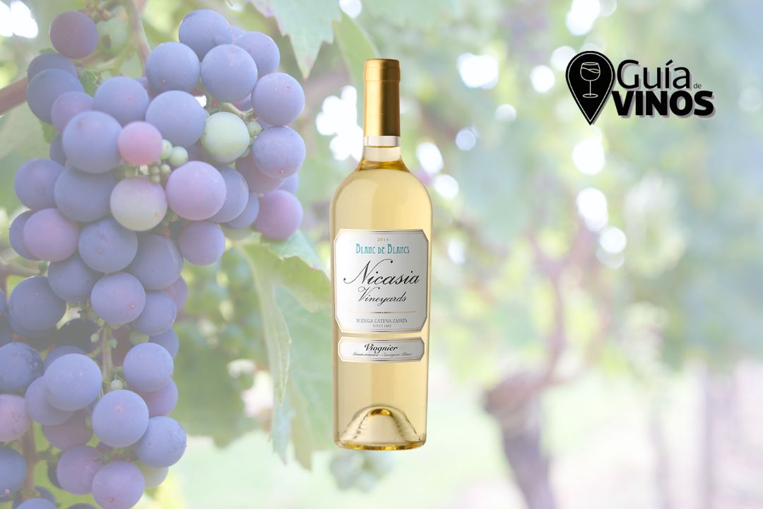 Nicasia Vineyards Blanc de Blancs 2021