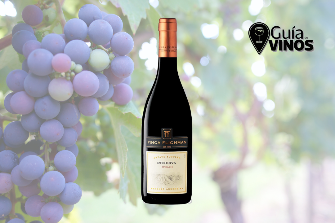 Finca Flichman Reserva Syrah 2021
