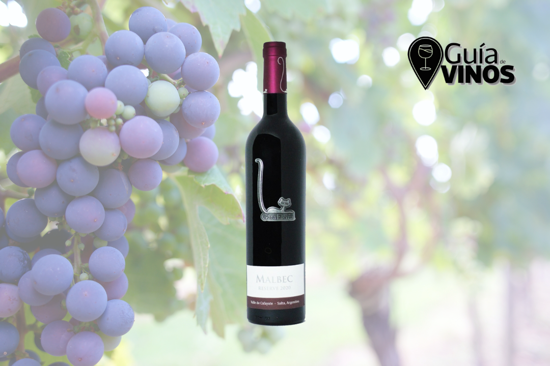 Gata Flora Reserve Malbec 2020