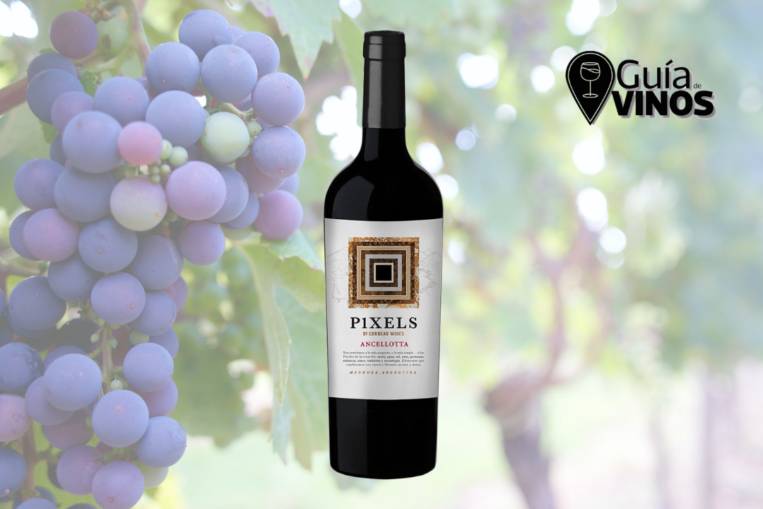 Pixels Ancellotta 2022