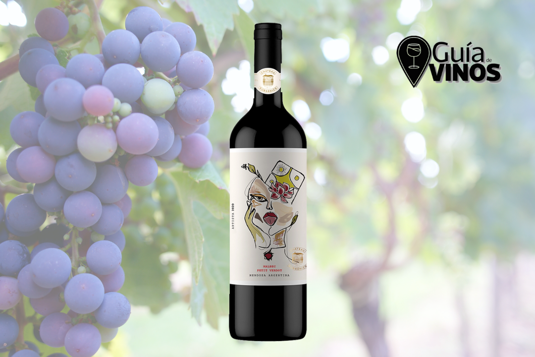 Chateau Subsónico Artista Malbec – Petit Verdot 2020