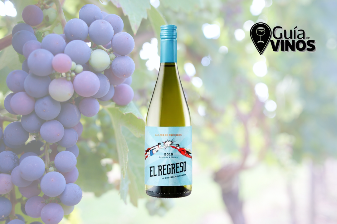 Liga de Enólogos El Regreso Semillón – Chenin 2019