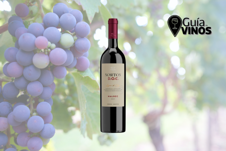 Norton Malbec DOC 2021