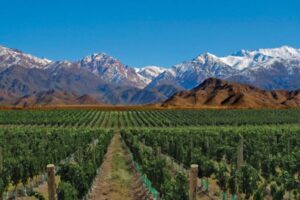 Valle de Uco: La joya de Mendoza