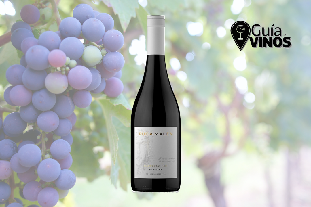 Ruca Malen capítulo 2 Garnacha