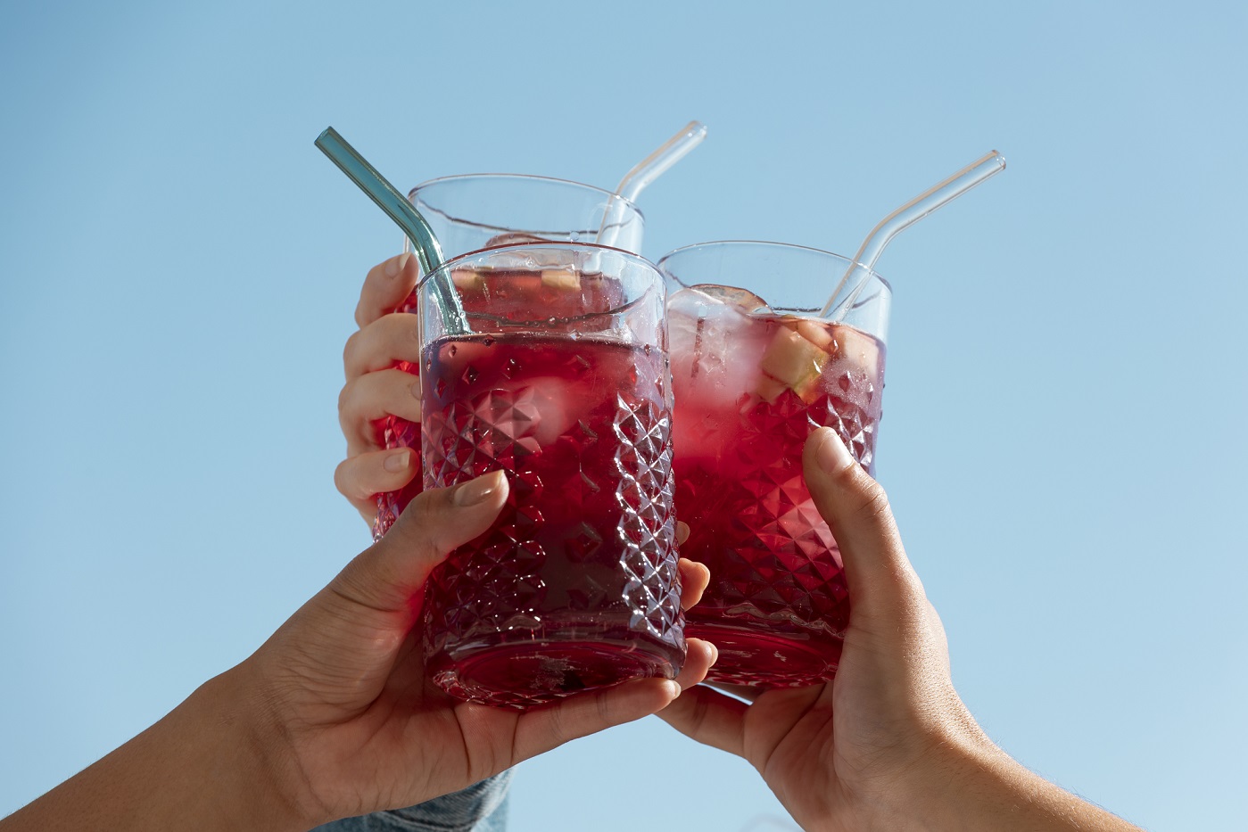 receta Tinto de Verano