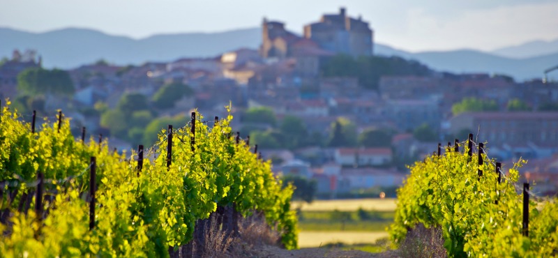Châteauneuf-du-Pape