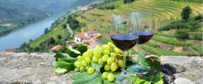 Porto: estilos y maridajes