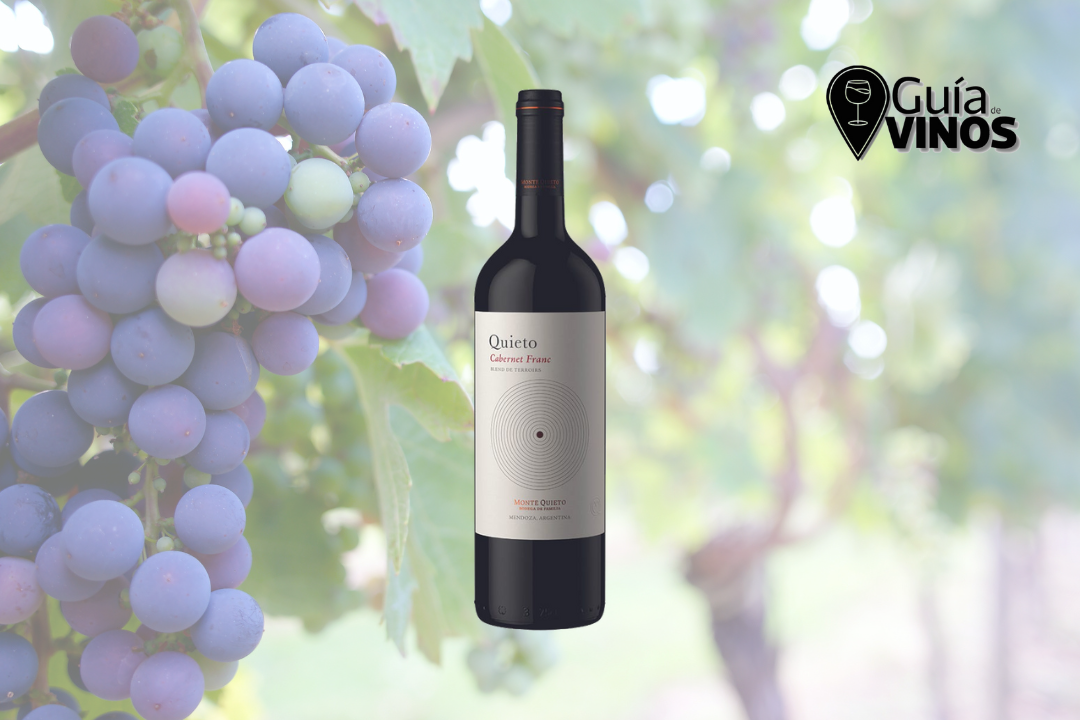 Quieto Cabernet Franc 2023 Blend de Terroirs