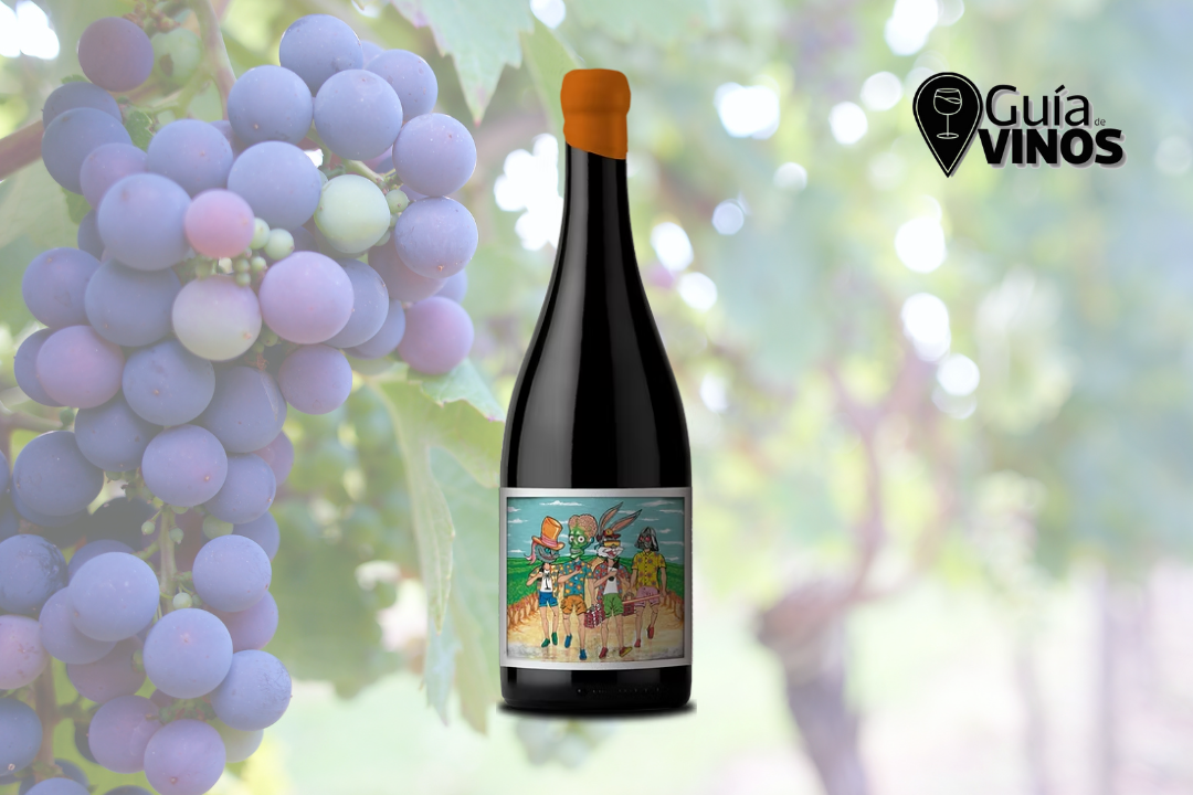 Re Manija Cabernet Sauvignon 2022