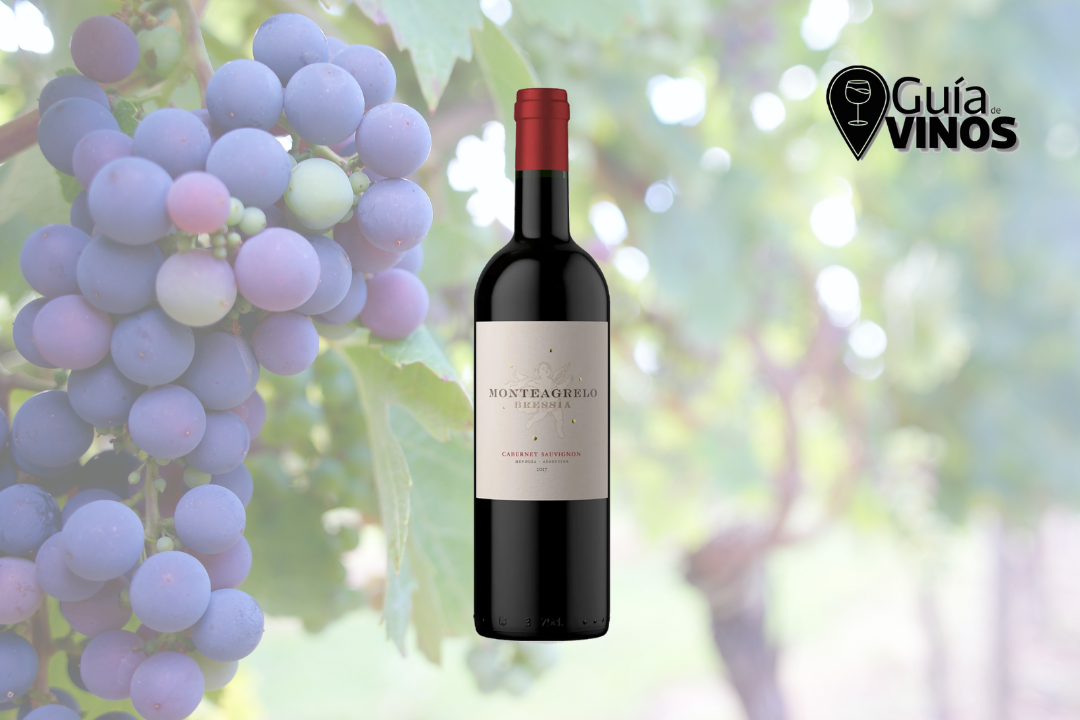 Bressia Monteagrelo Cabernet Sauvignon