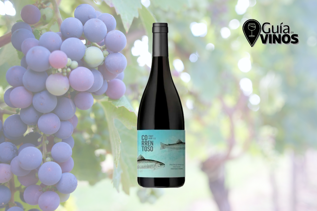 Correntoso Pinot Noir 2024