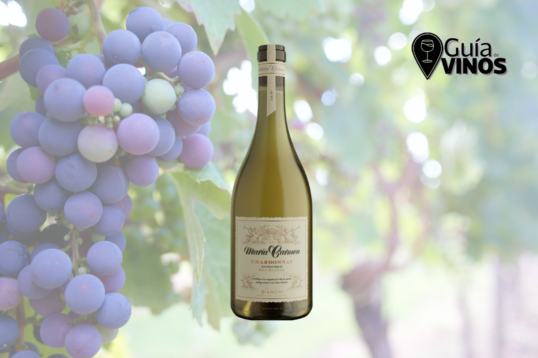 María Carmen Chardonnay 2022