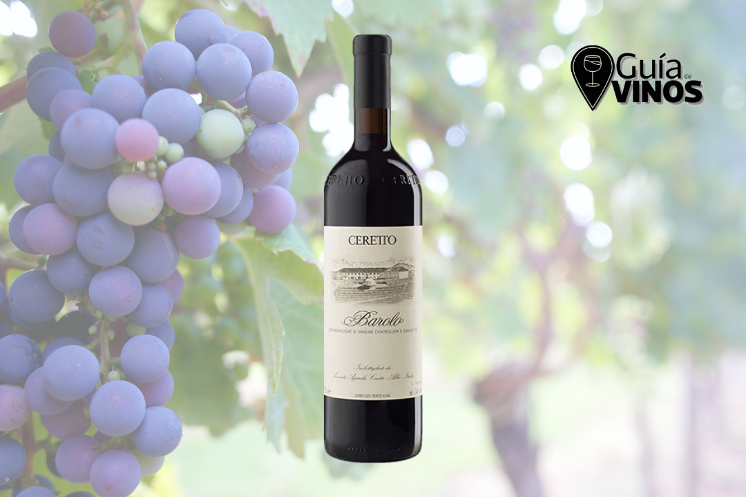 Bussia Barolo DOCG Ceretto 2019