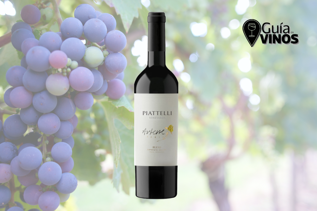 Piattelli Arlene serie Blend 2020