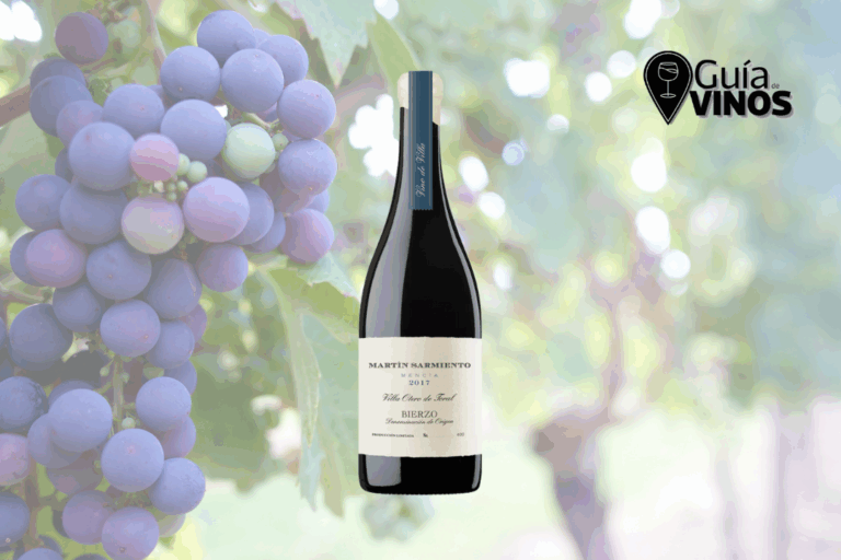 Martín Sarmiento Villa Otero de Toral 2019