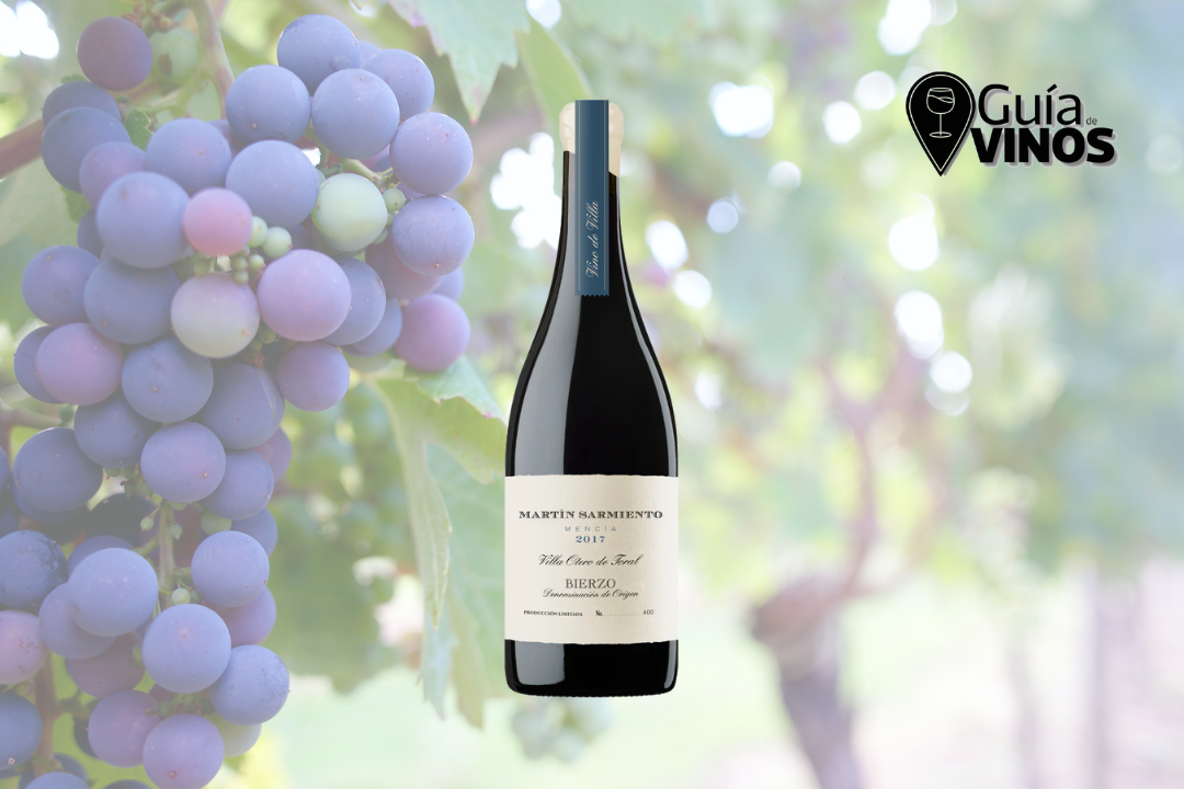 Martín Sarmiento Villa Otero de Toral 2019