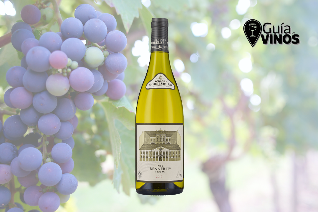 Schloss Gobelsburg Ried Renner 1ÖTW