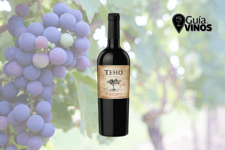 Teho Tomal Vinyard El Corte 2019