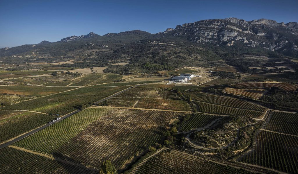 clasificación crianza Rioja