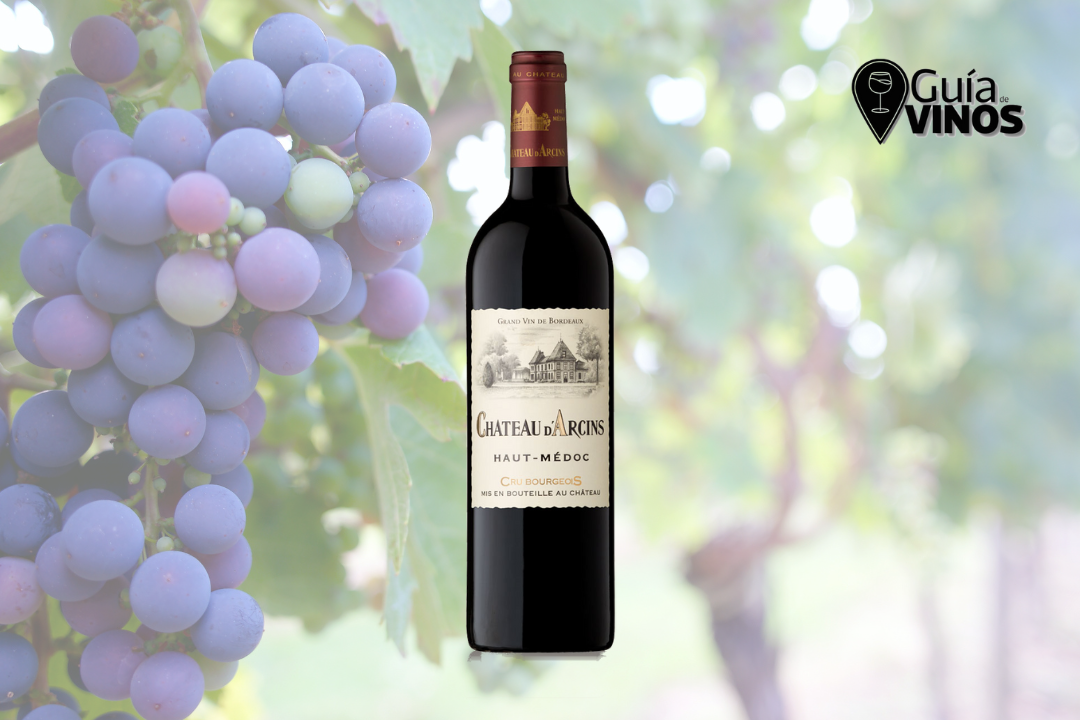 Chateau d'Arcins Haut-Medoc Cru-Bourgeois 2014
