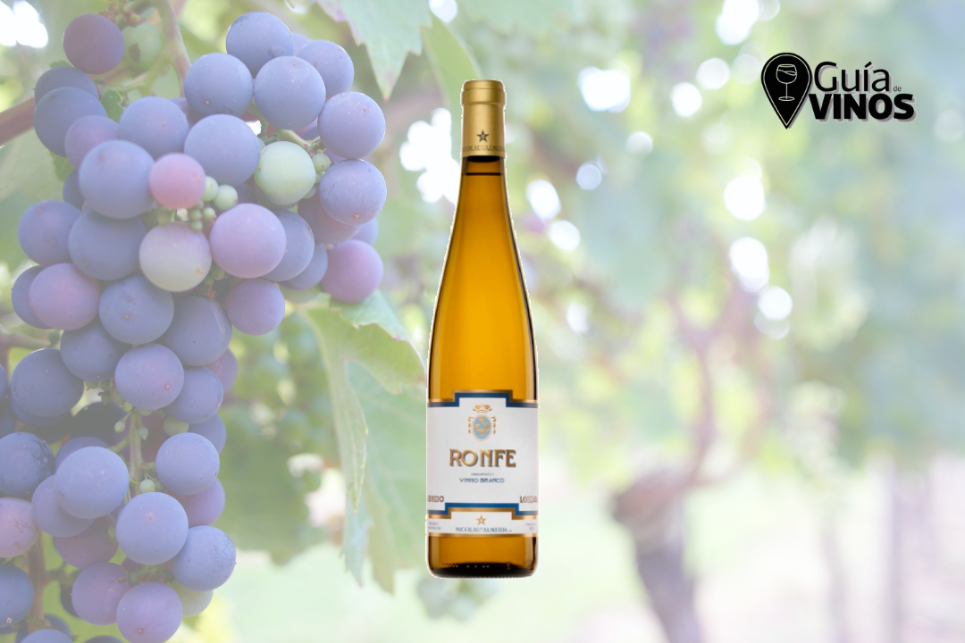 Nicolau de Almeida Casa de Ronfe Branco 2023