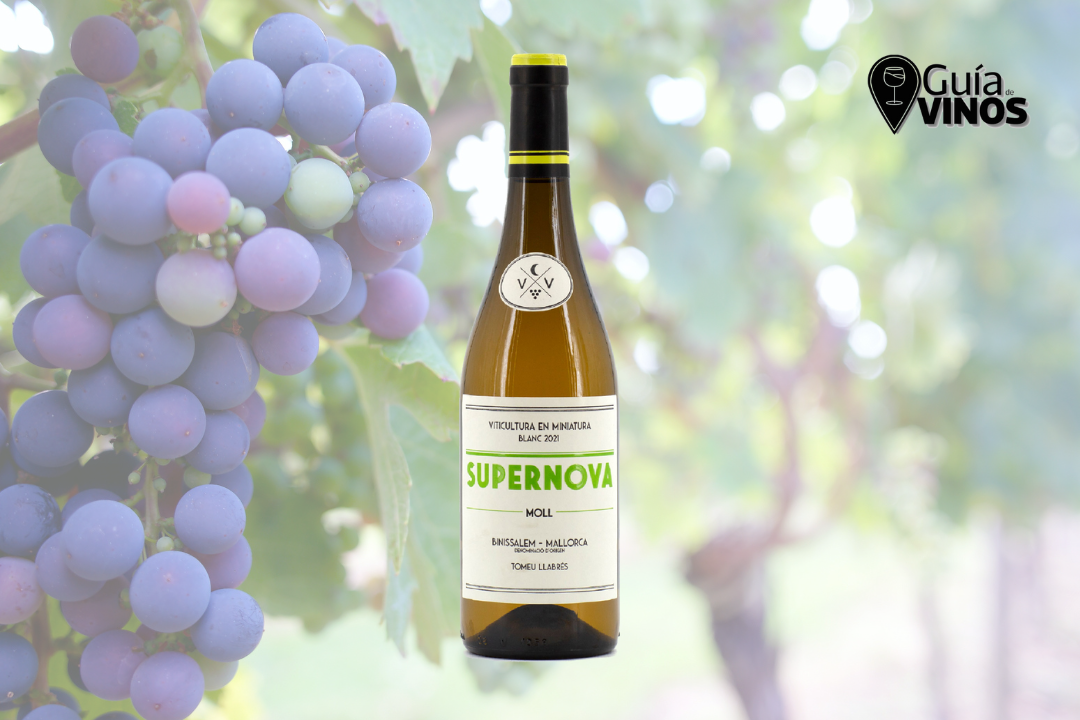 Ca'n Verdura Supernova Moll 2023