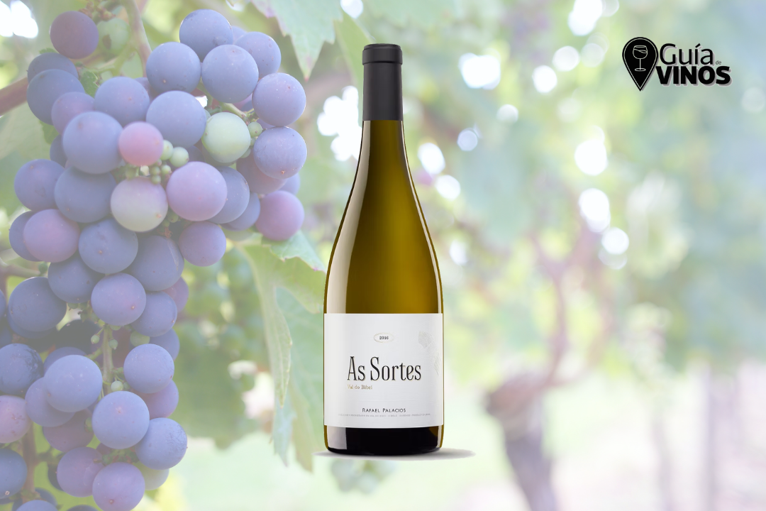 Rafael Palacios As Sortes 2023