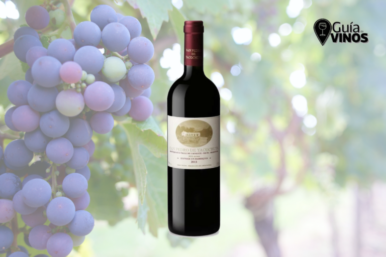 San Pedro de Yacochuya Tinto 2023