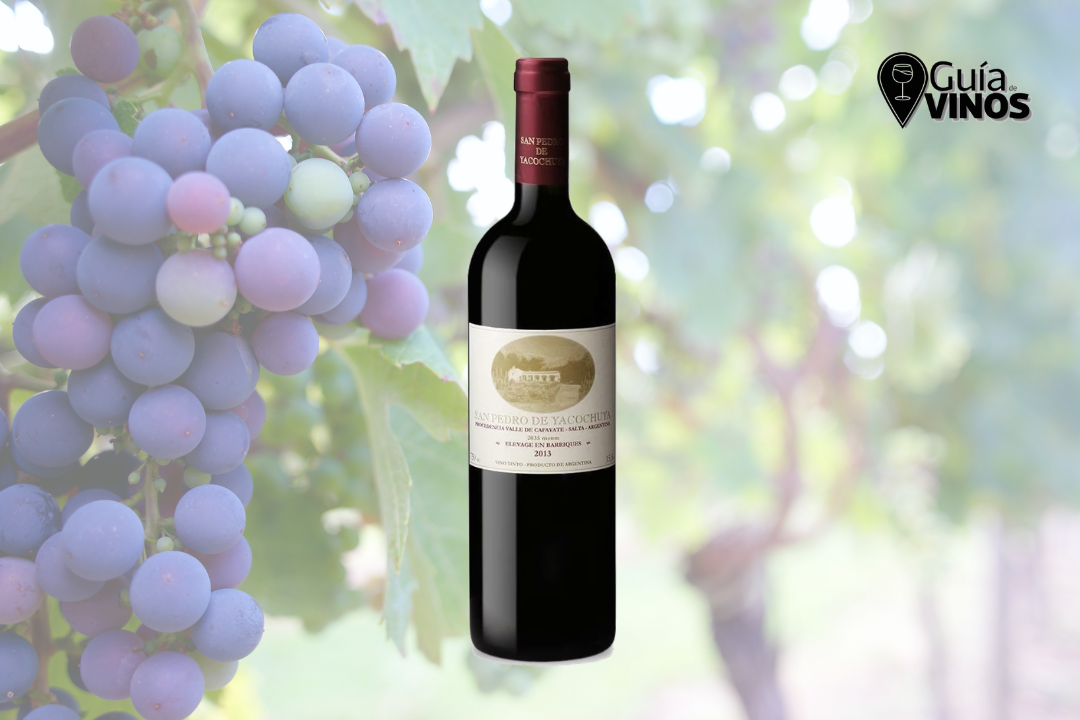 San Pedro de Yacochuya Tinto 2023