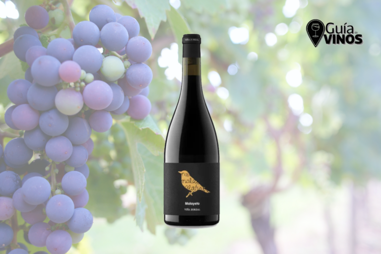 Viña Zorzal Malayeto 2024