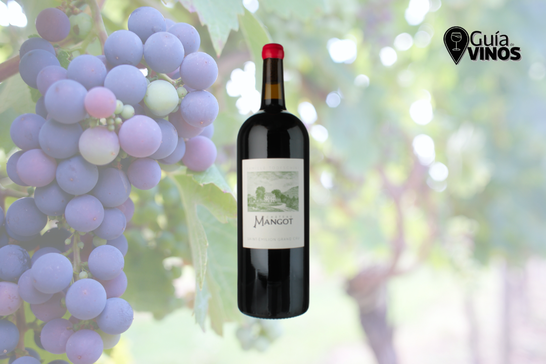 Château Mangot Grand Cru Classé Saint-Emilion 2022