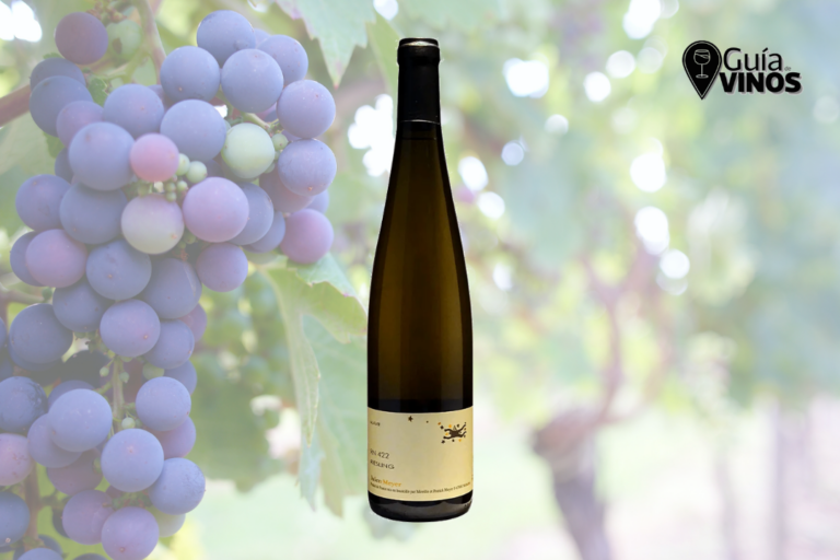 Domaine Julien Meyer RN 422 2023