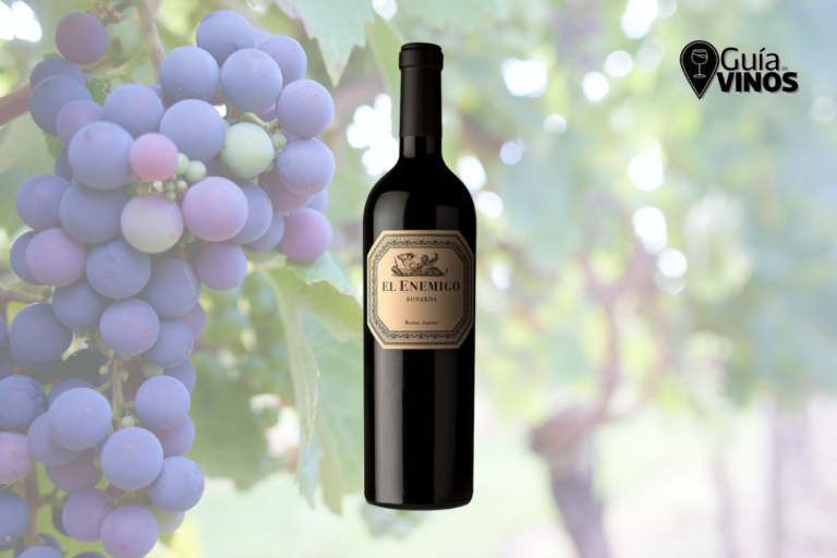 El Enemigo Bonarda 2022