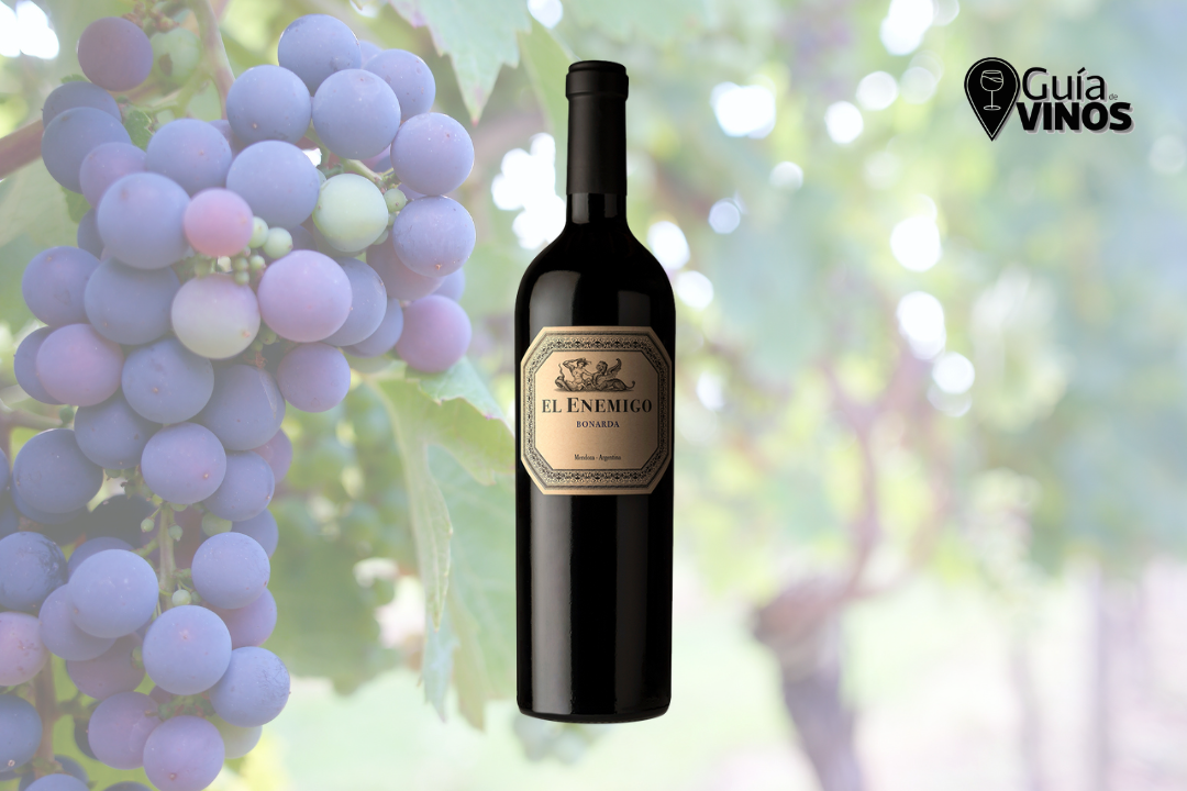 El Enemigo Bonarda 2022